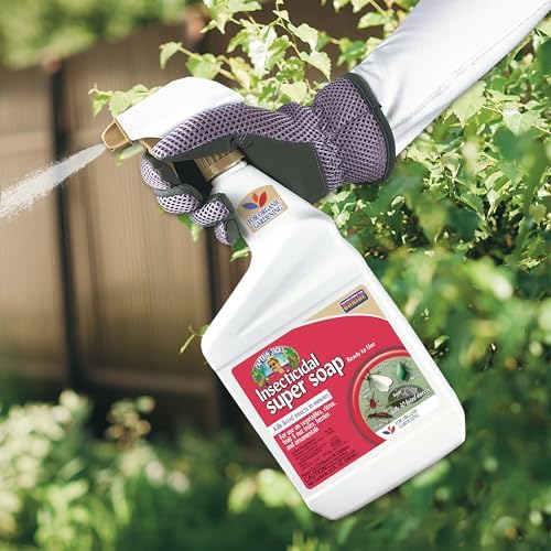 Bonide Captain Jack's Insecticidal Super Soap, 32 oz Ready-to-Use Spray For Organic Gardening and Outdoor Plants | Ready-to-Use Spray