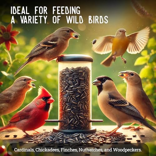 Ernst Grain & Livestock Black Oil Sunflower Seeds - Birdseed for Outside Feeders Wild Bird Food - Ideal Bird Seed for Cardinals
