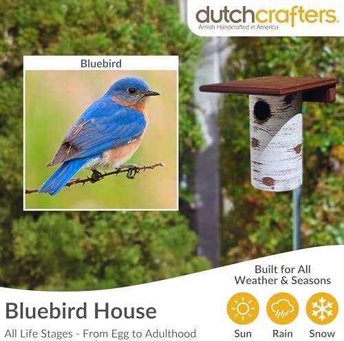 DutchCrafters Pole Mount Gilbertson Bluebird House with Removable Base, Durable Weatherproof Birdhouse Blue Bird Nesting Box for Outdoors (Poly Roof, 1 1/2" Entrance Hole)
