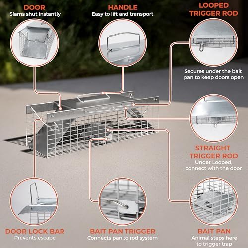 HOMESTEAD Heavy Duty Live Trap - Professional Style One-Door Live Animal Traps for Rabbit, Squirrel, Possum, Skunk, Kitten, Mink Small