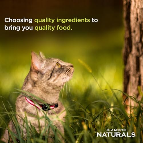 DIAMOND NATURALS Indoor Adult Dry Cat Food, Chicken & Rice, 18lb | With Real Chicken for Great Taste | Omega Fatty Acids to Help Support Skin & Coat Health | Taurine for Heart & Eye Health