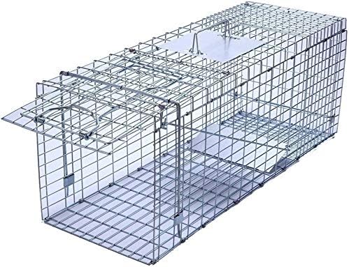 Faicuk Large Collapsible Humane Live Animal Cage Trap for Raccoon, Opossum, Stray Cat, Rabbit, Groundhog and Armadillo 32 x 11 x 13 Inch