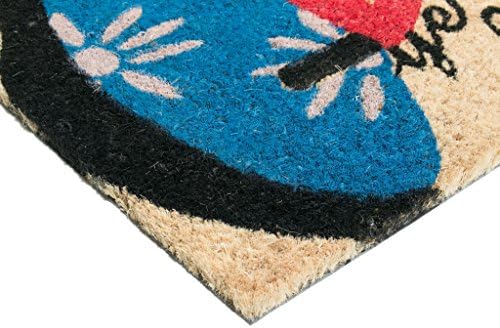 Welcome Goodbye Flip Flop Vinyl Backed Coir Doormat, 30 by 18 by 1/2-Inch