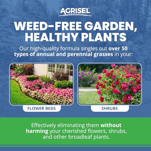 Agrisel GrassOut Max Weed Killer, Pet Safe, 32 Ounces | Targets 50+ Grassy Weeds Without Harming Desired Plants, Large Area Treatment, Easy Application