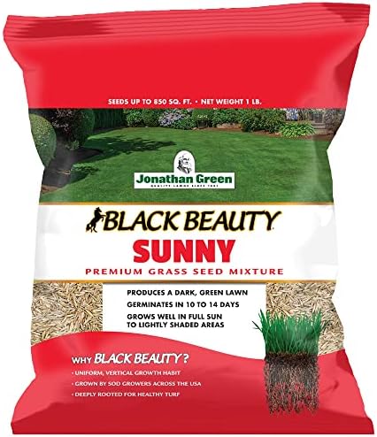 Jonathan Green (10895) Black Beauty Sunny Grass Seed - Cool Season Lawn Seed (1 lb)