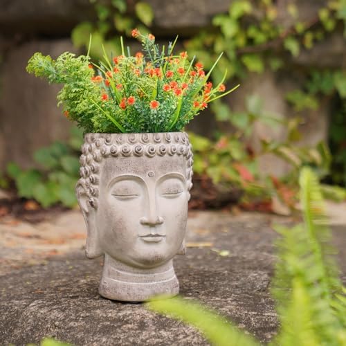 Newman House Studio Face Cactus Succulents Planter Pot - Indoor Outdoor Planter with Drainage Hole Garden Statues Cute Plants Pot Flower Pot