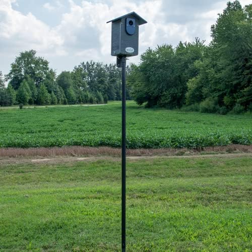 Ultimate Eastern and Western Bluebird House with Universal Mounting Pole Kit - Garden Birdhouse and Pole Combo (Blue and Gray)