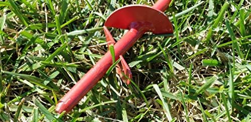 50 Zoysia Grass Plugs & Auger | Beginner's Pack