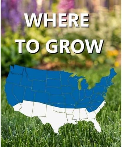 Jonathan Green 12002 Black Beauty Sun & Shade Grass Seed Mixture, 3 Lb