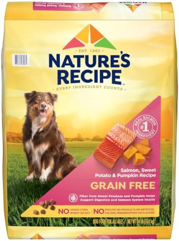 Nature's Recipe Grain Free Salmon Dry Dog Food, 24 lb. Bag | Fiber From Sweet Potatoes & Pumpkin Helps Support Digestion and Immune System Health