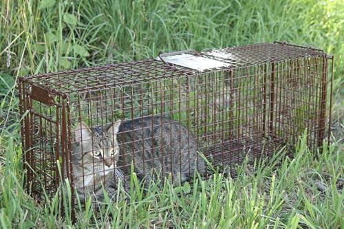 Tru Catch 30LTD Humane Live Animal Trap - Easy & Safe Catch & Release for Cats, Rabbits