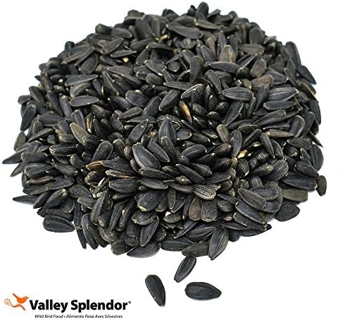 Black Oil Sunflower Seeds, 2 lbs