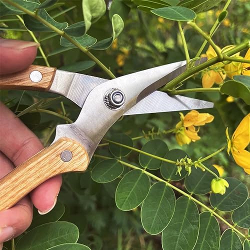 BUGUI Wood Handle Pruning Shears, SK-5 Steel Blade, 1-inch Cutting Capacity, Sharp, Well Designed Garden Shears, 8"