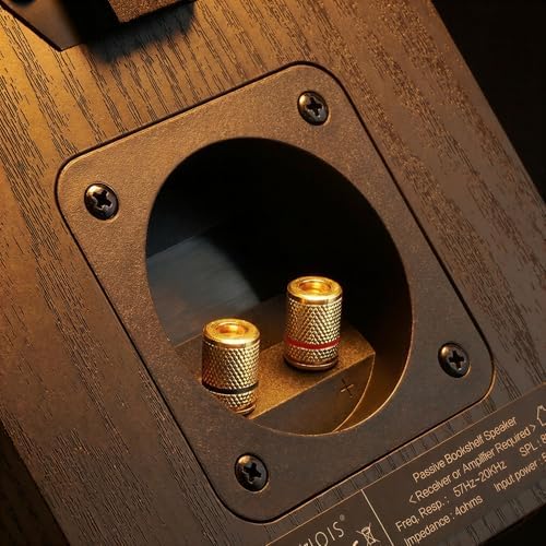 RIOWOIS Passive Bookshelf Speakers, Home Stereo Speakers for Record Player | Silk-Dome Horn Tweeter, 4 inch Woofer, Gold-plated Terminals