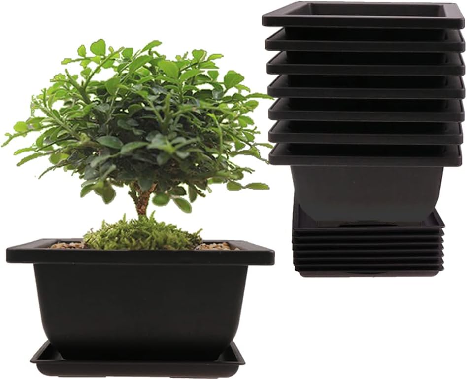 MUZHI 6PCS/Pack Retro Style Basin Plastic Flower Pot 6.5 Inch Flower Bonsai Tree Plant Bowl Nursery Pots Maceta Cuadrada Simulational Purple Sands Pots with Tray Rectangle Small
