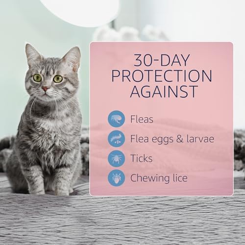 Catego Flea and Tick Prevention for Cats - Over 1.5 lbs, 3 Month Supply | No Prescription Required, Cat Flea Treatment Topical Drops, Fast Acting Flea & Tick Control Drops, Easy to Apply