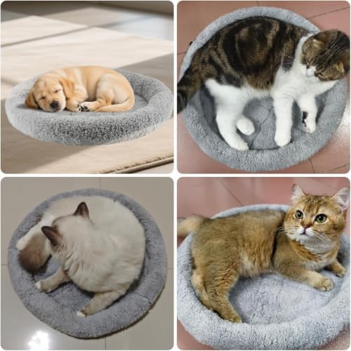 LESYPET Cat Bed for Indoor Cats, Soft Cat Cushion with Cat Pillow Around, Rectangle Kitten Pad Small Bed for Window Sill, 15'' x 10''
