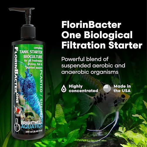 Brightwell Aquatics Shrimp FlorinBacter One Shrimp Tank Starter 500ml