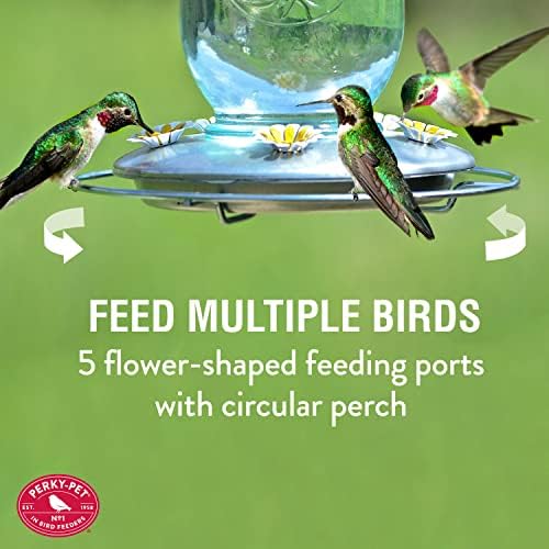 Perky-Pet Mason Jar Hummingbird Feeder, 32 oz Nectar Capacity | Vintage Style Glass Bird Feeder, 5 Flower Feeding Ports, Outdoor Garden Backyard Wildlife