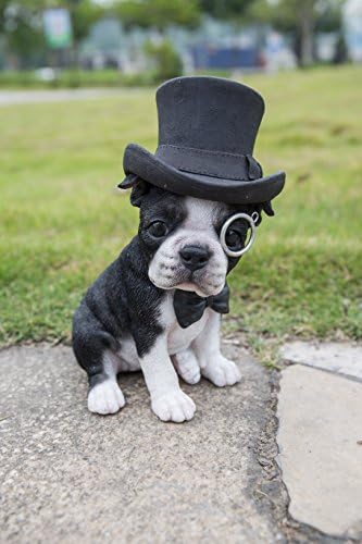 Hi-Line Gift Ltd. Boston Terrier with Top Hat - Spectacle and Bow Tie, Black and White