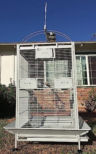 Large Double Ladders Open Play Top Wrought Iron Bird Parrot Parakeet Finch Macaw Cockatoo Cage, Include Seed Guard and Toy Hook (30.5''L x 29.5''W x 65''H, Black Vein)