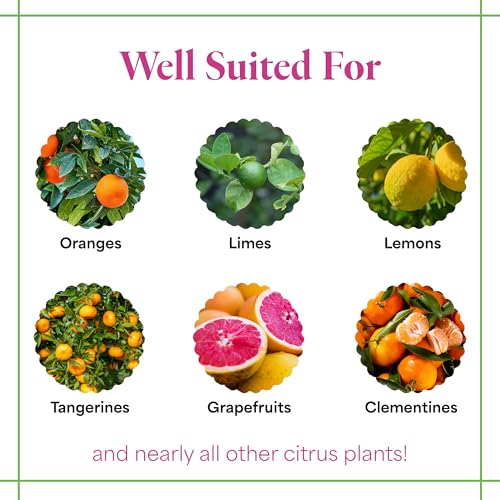 Grow More Citrus Grower Blend (1.7-0-0) - 20oz of Organic Citrus Fertilizer for Potted Trees with Chelated Micronutrient - Improves Taste, Color