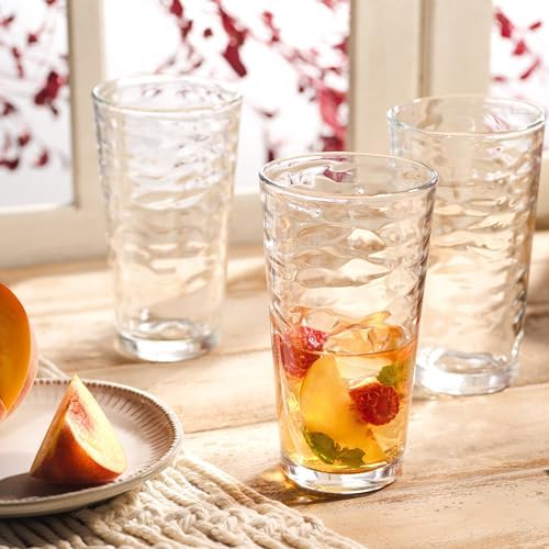 Glaver's Drinking Glasses Set of 10 Highball Glass Cups