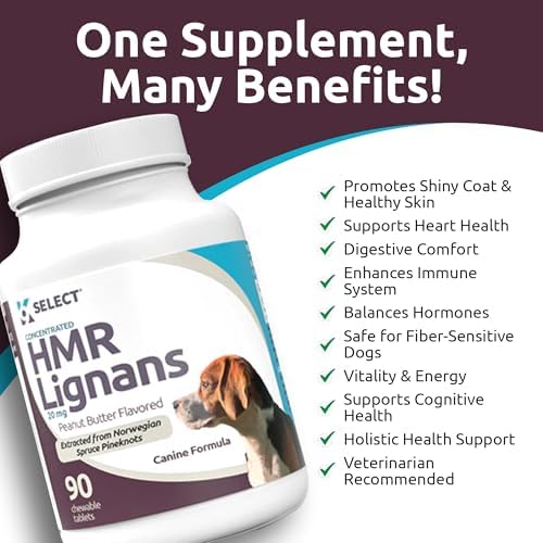 HMR Lignans for Dogs - Enhancer for Overall Wellness, Immune Support for Dogs - Norway Spruce Extract Holistic Dog Health - Digestion
