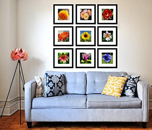 pojah 12x12 Black Picture Frame Set of 4,Wall Frames,HD Plexiglass