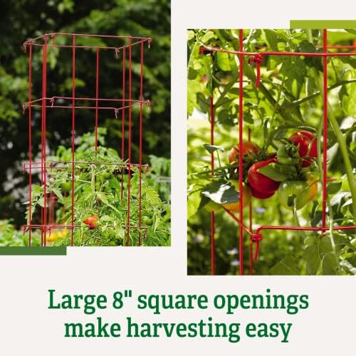 Gardener's Supply Company Lifetime Tomato Cages, Green, Set of 4