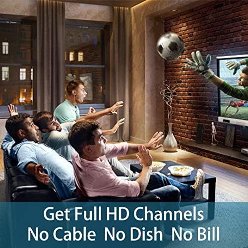 Lava Omnipro HD-8008 Omni-Directional HDTV Antenna 360 Degree - Attic or Roof Mount TV Antenna for Clear Reception, 4K 1080P (HD-8008_FBA)
