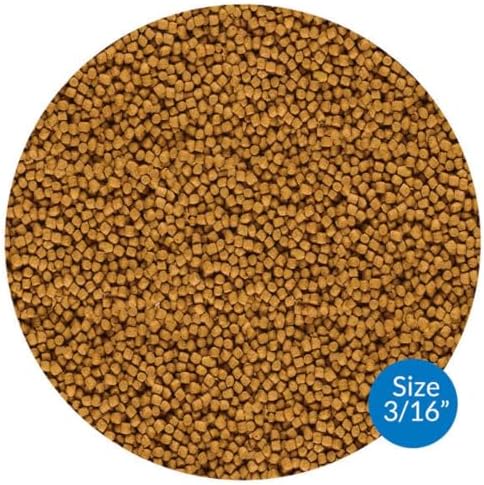 API POND COOL WATER FOOD Pond Fish Food 11-Ounce Container