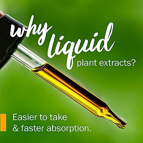 Herb Pharm Uva Ursi Liquid ExtraCount for Urinary System Support, 1 Oz