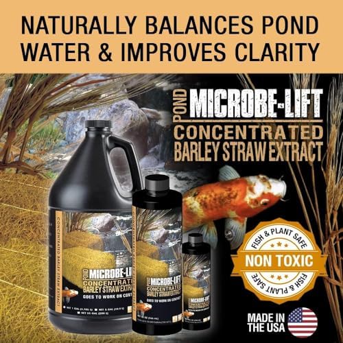 Microbe-Lift Concentrated Barley Straw Extract Conditioner for Ponds – 1 Gallon – Safe for Koi Fish, Plants & Decorations – Natural Pond Conditioner, Cost-Efficient & Organic Solution