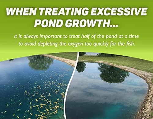 Tsunami DQ Aquatic Herbicide - Gallon - 37.3 Percent Diquat Dibromide - Concentrated Aquatic Weed Killer for Lakes and Ponds - Duckweed, Watermeal