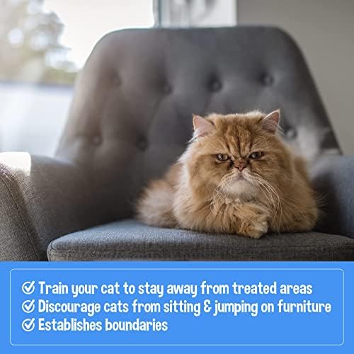 Bodhi 3-in-1 Cat & Kitten Training Aid - Cat Deterrent Spray for Indoor and Outdoor Use - Repellent to Establish Boundaries, Keep Cats Off Furniture