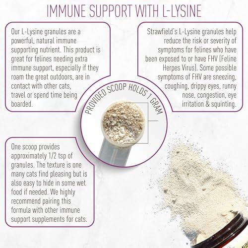 Strawfield Pets L-Lysine Immune Support Granules for Cats & Kittens - Immune Health Supplement Cat Cold Relief, Sneezing, Congestion, Running Nose