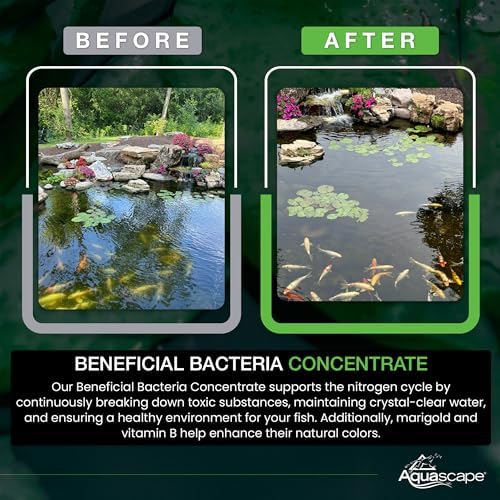 Aquascape Dry Beneficial Bacteria for Pond and Water Features, 8.8 Ounce (Pack of 1), 98948 , white