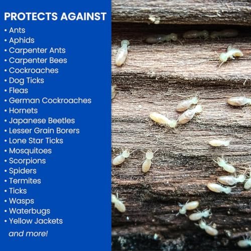 BioAdvanced Carpenter Ant & Termite Killer Plus Spray - 1 Gal Bottle | Ready-to-Use - Kills Carpenter Bees - Indoor & Outdoor Insect Control - Sprayer Included