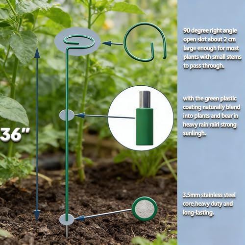 10 Pieces 24 inch Green Single Stem Plant Stakes Flower Support Rings,Gardening Planter Cages for Single Stem Flowers, Amaryllis, Peony, Lily,Narcissus