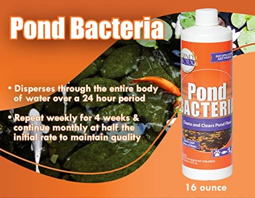 PondWorx Pond Bacteria - Formulated for Large Ponds, Water Features and Safe for Koi - Gallon