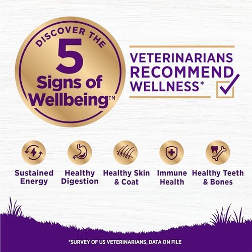 Wellness Complete Health Puppy Dry Dog Food, Grain Free Kibble, Natural, Chicken and Salmon Recipe, 24 lb Bag