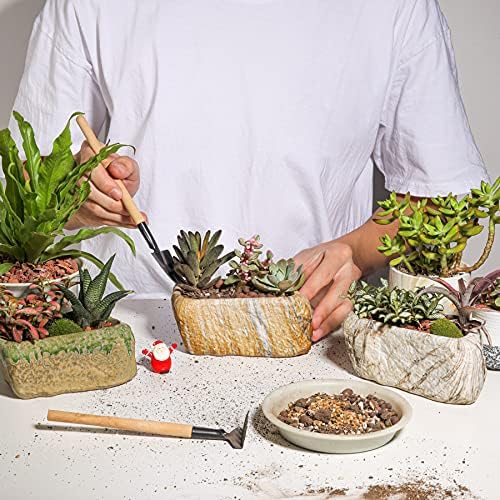 T4U 5.5 Inch Ceramic Succulent Pot Planter with Drainage Hole Set of 3