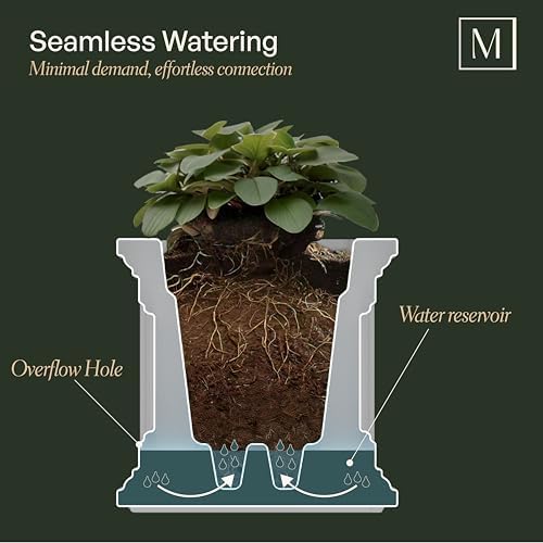 Mayne 4838-W Cape Cod 20x20 Square Polyethylene Planter, 20" x 20", White | Self-watering, All season, Fade resistant, Double-wall design