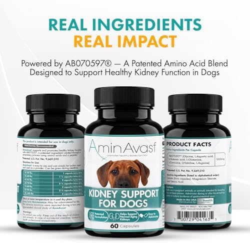 AminAvast Kidney Support for Dogs Over 20lb, 1000mg, 60 Sprinkle Capsules | Feed Directly or Open Capsules & Mix With Food, Flavorless, Easy Daily Use