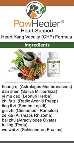 Heart Support - Heart-Yang Vacuity (CHF) - Coughing, Gagging, Wheezing Due to Heart Condition - 100 Grams-Herbal Powder-Remedy for Dogs & Pets