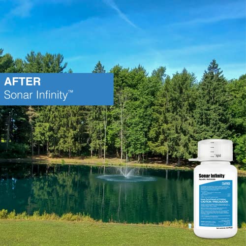 Aquatic Herbicide - 22 oz WDG Granules for DIY Pond and Lake Weed Control - Kills Duckweed, Milfoil, Hydrilla - Fish Safe, Easy to Use