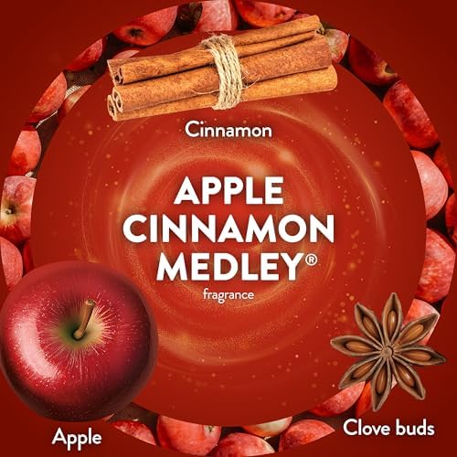Air Wick Plug in Scented Oil Refill, Apple Cinnamon Medley, 5ct, Air Freshener, Essential Oils
