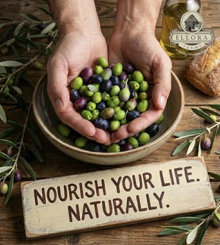 Ellora Farms, Extra Virgin Olive Oil, Single Estate PDO Crete, Greece, Traceable and High Polyphenol Olive oil, Kosher, 17 oz. Tin, Pack of 2