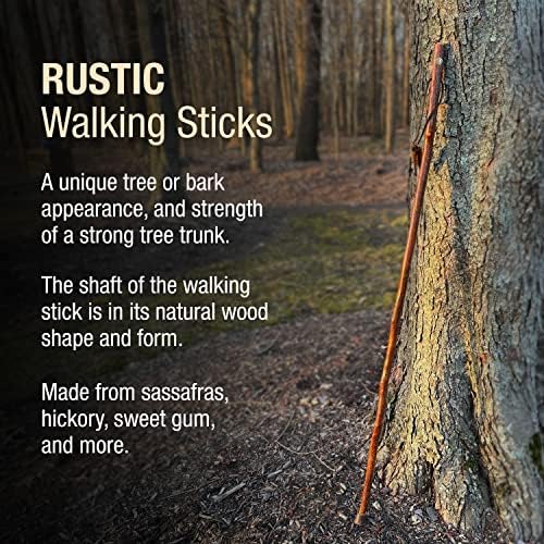 Brazos Rustic Wood Walking Stick, Maple, Traditional Style Handle, for Men & Women, Made in The USA, 55"